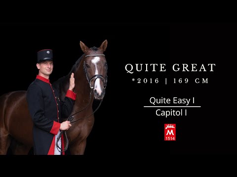 QUITE GREAT *2016 v. Quite Easy I - Capitol I
