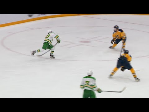 Wayzata Boys Hockey Falls to Edina for Third Straight Season in 6AA Final