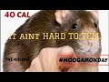 40 CAL - 4th one (It ain’t hard to tell) #MOOGAMONDAY SERIES