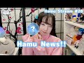 【Hamu Stream # 28】Hamu News!