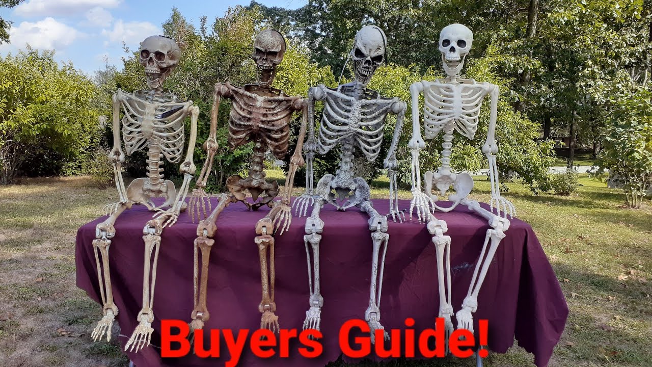 5' SKELETON Buyers Guide! The best & cheapest quality skellies/pros and cons/upgrades! #halloween
