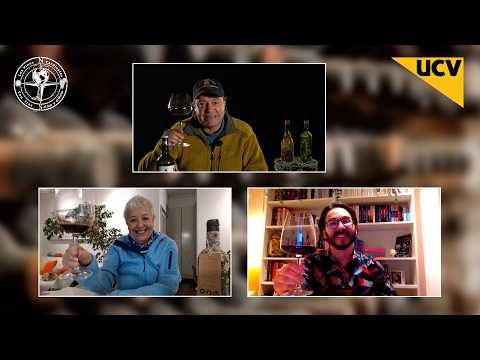 Los Vinos Cardinales capítulo 12