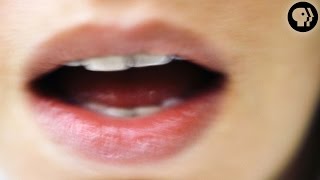 Do You Know This Voice?