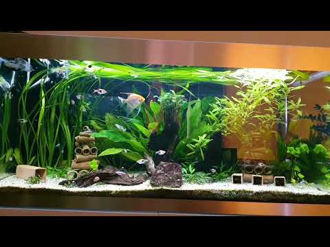 Oase HIghline Projekt- laufende Kosten Strom und Wasser