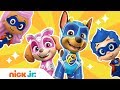 Hero Songs Ft PAW Patrol Mighty Pups Bubble Guppies More Nick Jr