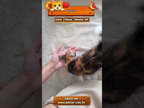 Vídeo de Neném