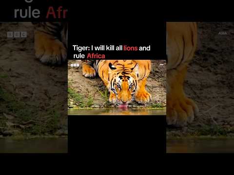 The greatest lion of Africa in the history #youtube #shorts #viral #video