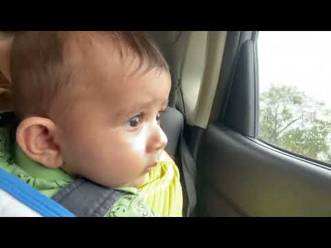 A Day Out With Baby And Poopy/ Dog Grooming /Hospital