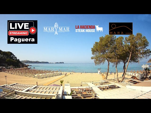 Live webcam view of Paguera Beach Live Cam