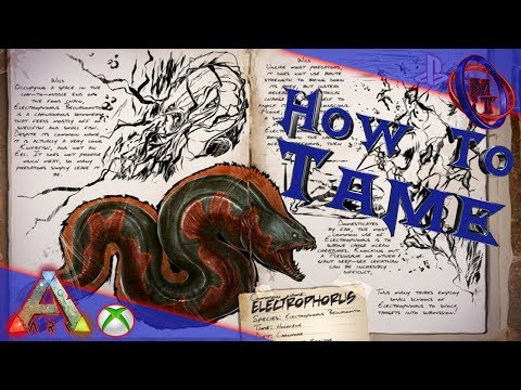 Ark Survival Evolved How To Tame Electrophorus