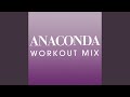 Anaconda (Workout Mix)