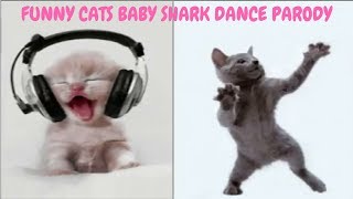 Funny Cats Dancing Baby Shark (Parody Version)