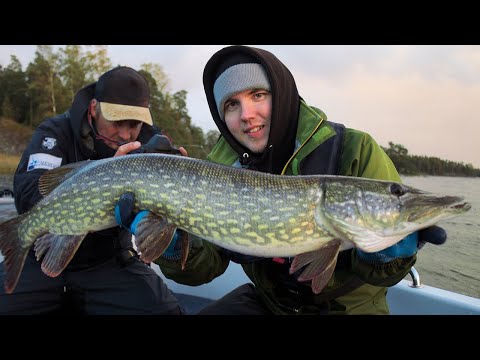 Hauen kalastusta merellä | Tubettajien päivät