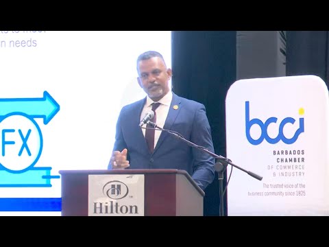 Economic resilience key to development