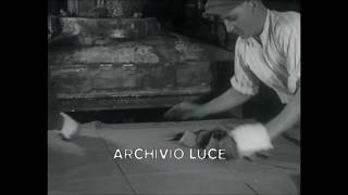 Casale Monferrato Eternit farm