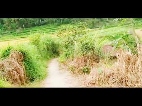 MINANG KABAU BAKIRIM SALAM