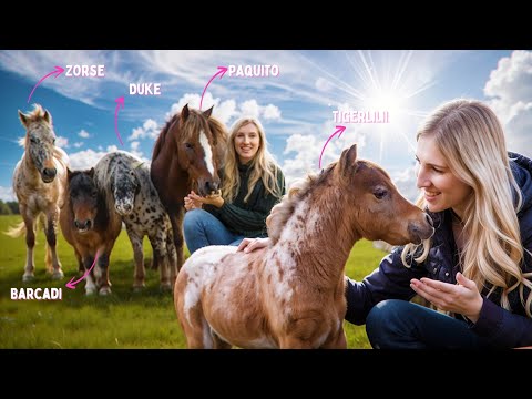 Introduction round of all my HORSES & PONIES (( + SURPRISE PONY 😨))