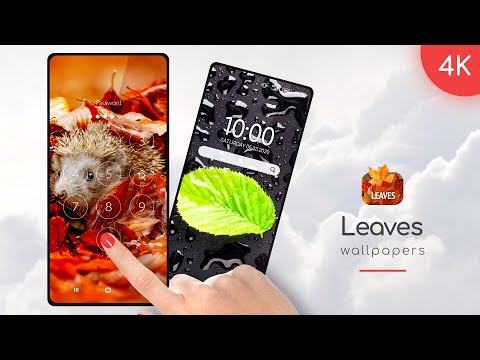 Leaves Wallpapers