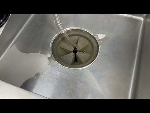 Fly Light Doesn't Work Against Fruit Flies in Monmouth Beach, NJ