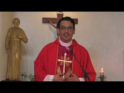 Homily on the Memorial of St Barnabas By Fr Jose Eudes Dos Santos SVD - June 11, 2020