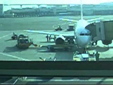 Dubai Airport Baggage Handling Inner Workings in 4k -  Dubai Flow Motion: Extended