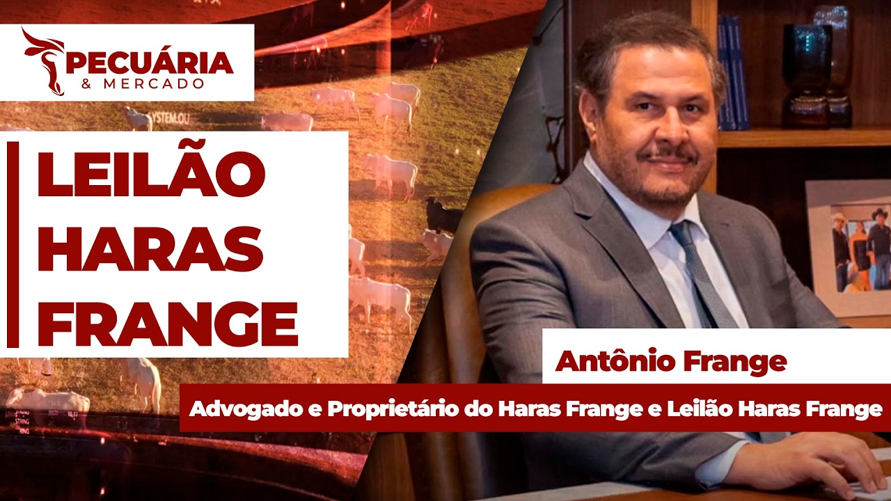 Leilão realizado pelo Haras Frange contabiliza R$ 60 milhões em negócios