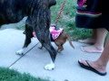 Prissy S Therapy
