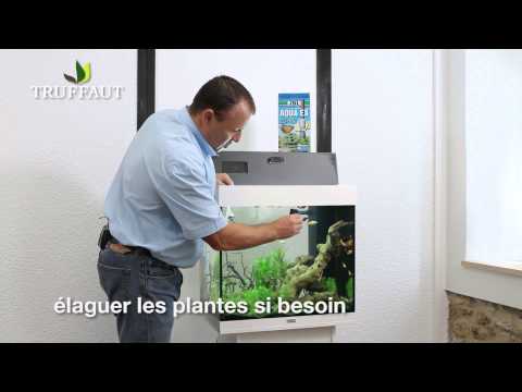 comment bien monter son aquarium