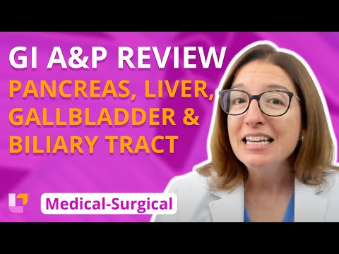 Pancreas, Liver, Gallbladder, Biliary Tract: A&P Review - Medical-Surgical (GI) | @LevelUpRN