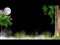 Nature Background Video Background Effects HD New Background Video Template Video Background