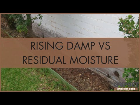 Residual Moisture vs Rising Damp | What's the difference?