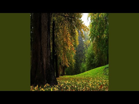 Semente Plantada - Makairy Fulni-ô