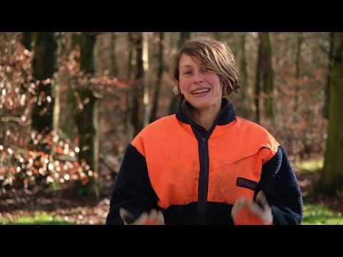 Drückjagd mit dem ÖJV