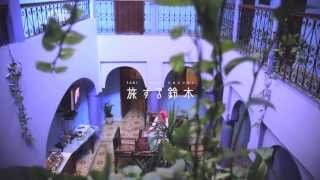 preview picture of video '旅する鈴木399:Blue hotel in Chefchaouen @Morocco'