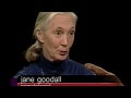 Jane Goodall Interview 2001