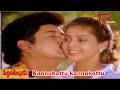 Peddinti Alludu Movie Songs Kannukottu Kannukottu Suman Nagma