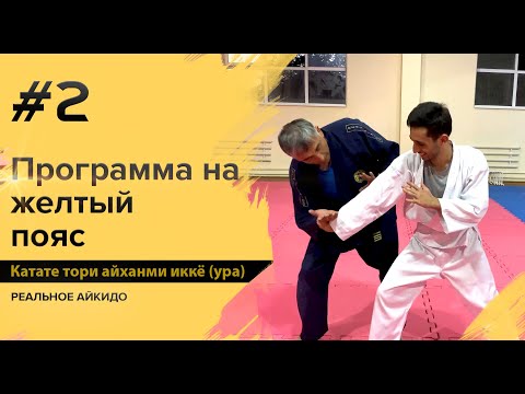 Система самообороны Реального Айкидо. Программа на желтый пояс #2