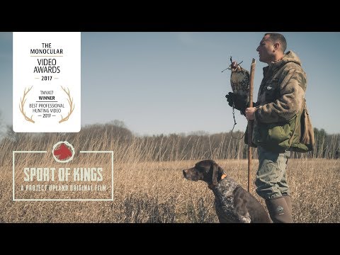 Sport of Kings - An Award Winning Falconry Video by Project Upland