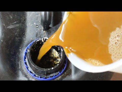 The Secret ingredient every Bait maker should know how to make. Home made Lactobacillus.