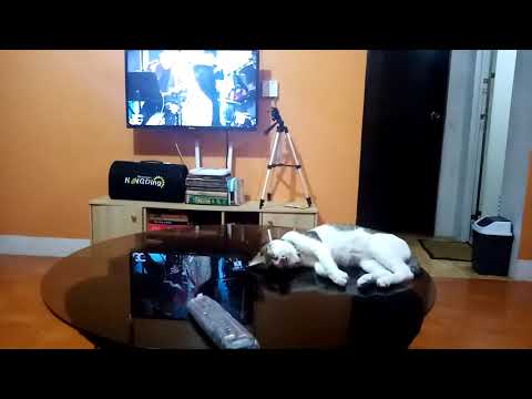 He sleeps with her song. Gigi De Lana makes him sleep.