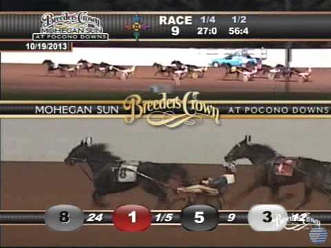 2013 Breeders Crown Open Mare Trot - theharnessedge.com