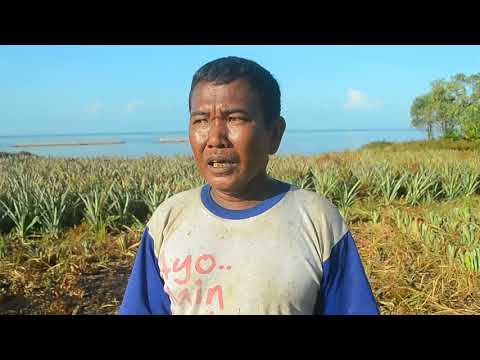Bagaimana meningkatkan potensi prostat Mempengaruhi apakah selenium-potensi