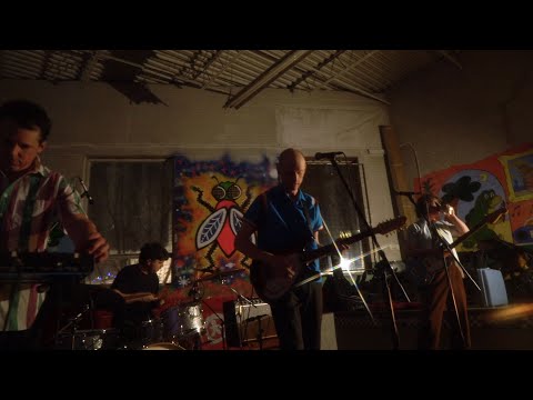 Kiwi Jr -  Parasite II - Live 2025