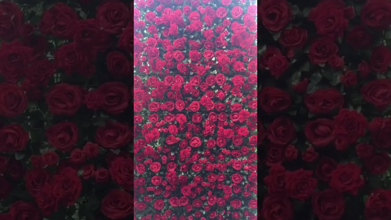 Promotional video thumbnail 2 for Flower Walls by Leslie Arnelle