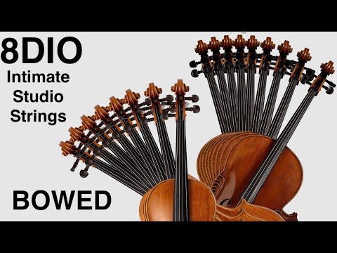 Intimate Studio Strings by 8Dio - Demo of all the presets: Bowed (2023)