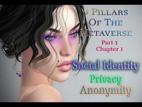 Privacy, Anonymity & Virtual Identity: The 9 Pillars of the Metaverse Series - Part 3 Chapter 1