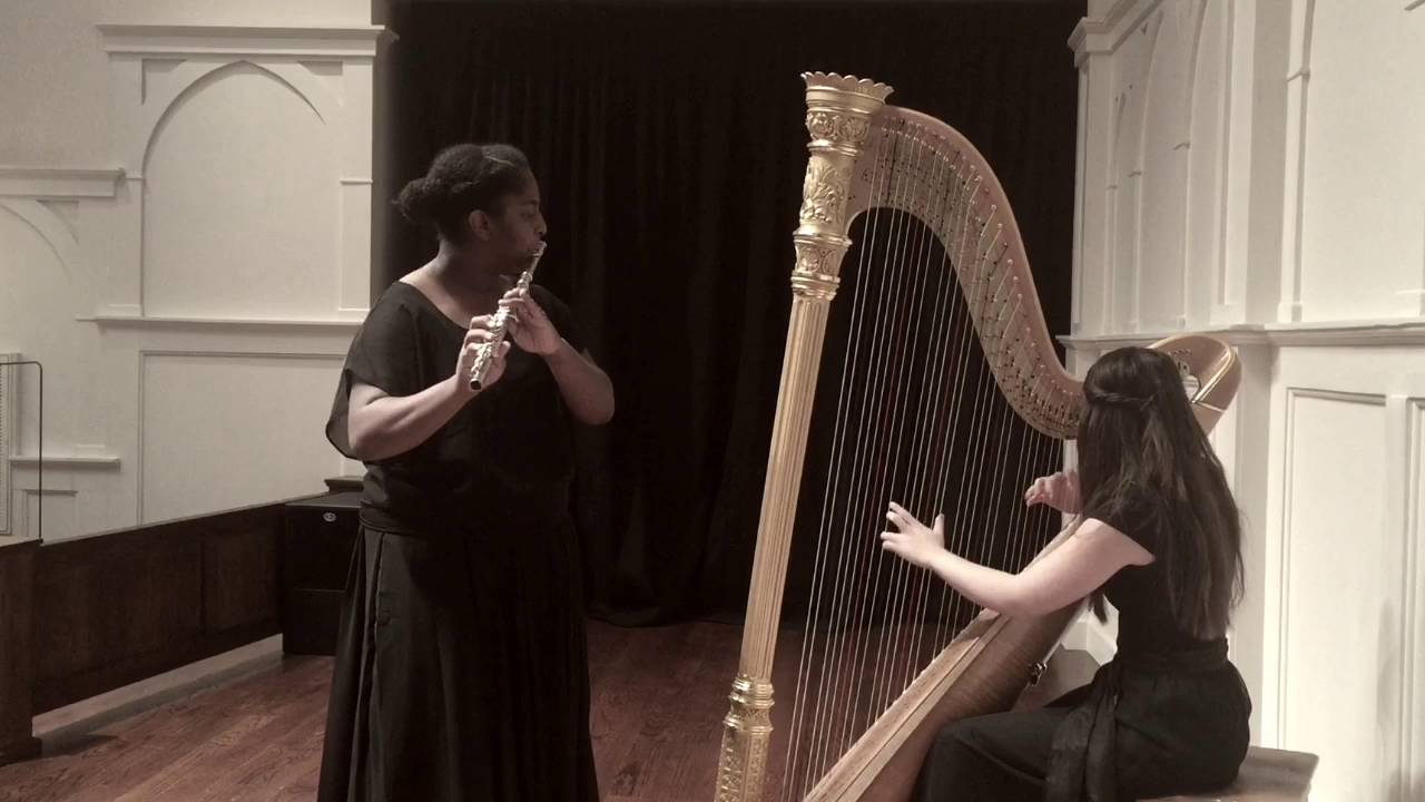 Hire Harp of the Hills Harpist in Kyle, Texas