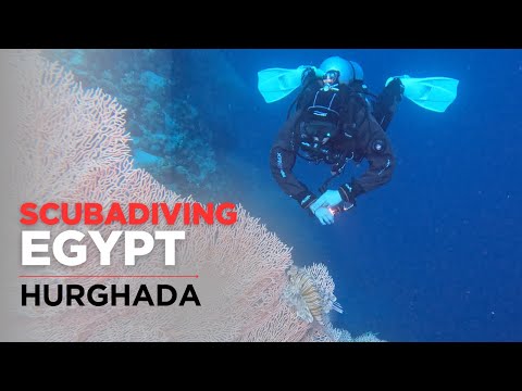 Scubadiving Red Sea - Egypt: Hurghada 2025 - Part 1 - Local Dive Spots (English subtitled)