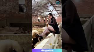 Pig Farmer Chic is a Vibe! 😂 She's Slaying... and Slopping! #pigfarming #fashionista #funnyvideos