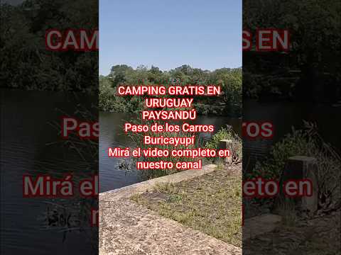 CAMPING CON MI PERRA EN UN LUGAR SOLITARIO Y ALEJADO